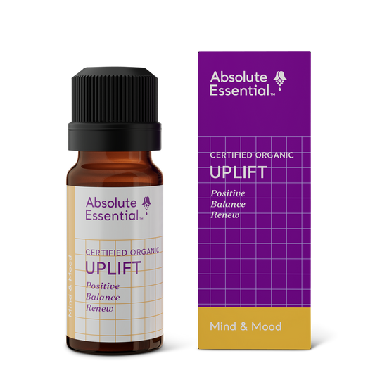 Absolute Essential Uplift Essential Oil