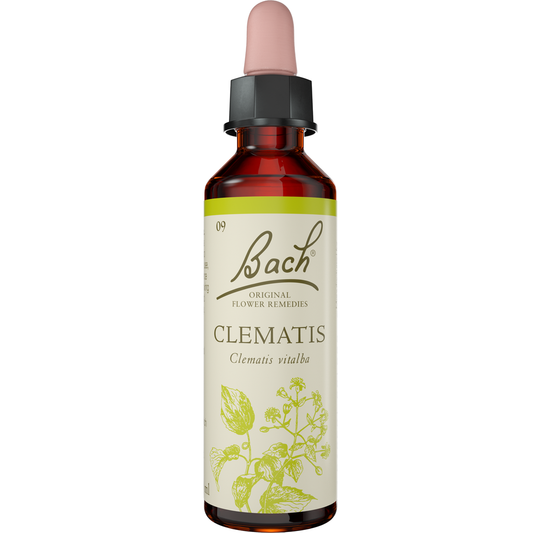Bach Flower Remedies Clematis