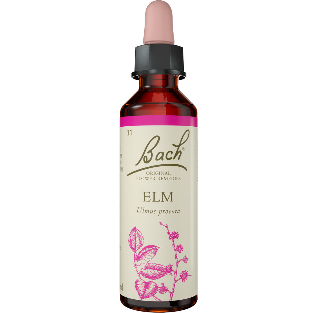 Bach Flower Remedies Elm