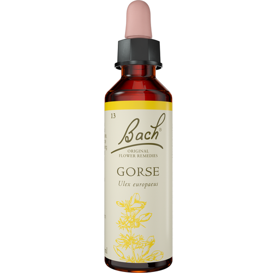 Bach Flower Remedies Gorse