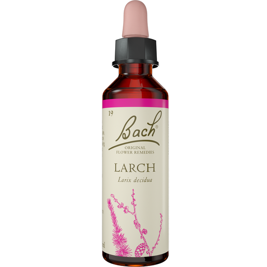 Bach Flower Remedies Larch