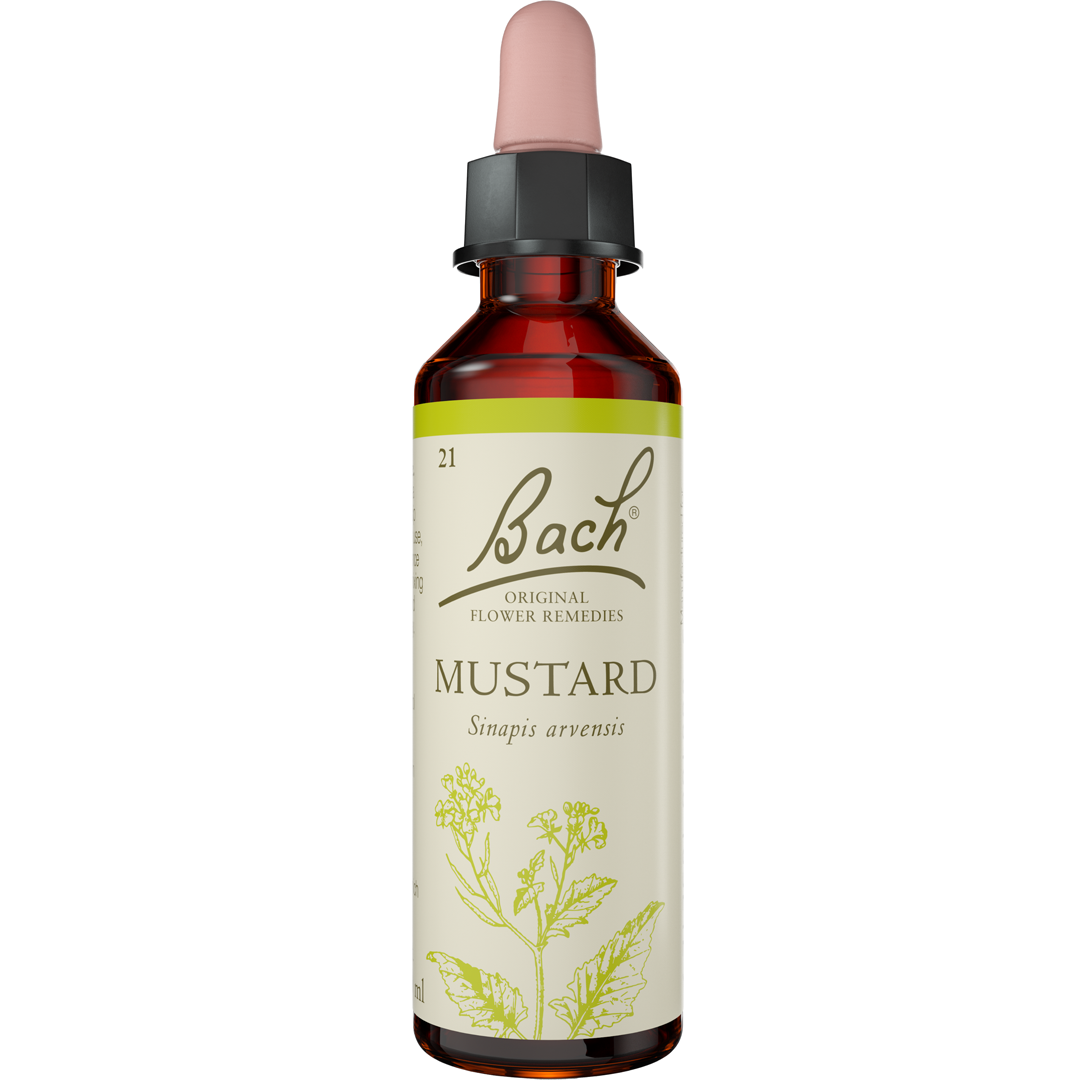 Bach Flower Remedies Mustard