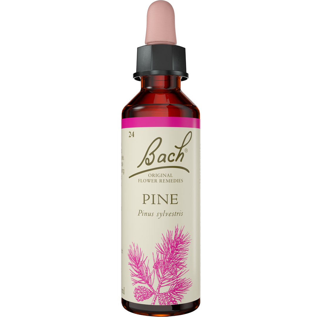 Bach Flower Remedies Pine
