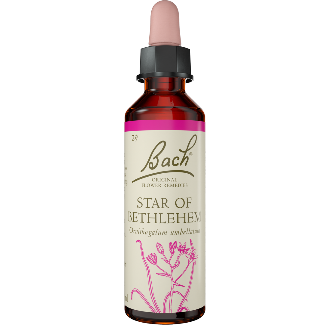 Bach Flower Remedies Star of Bethlehem