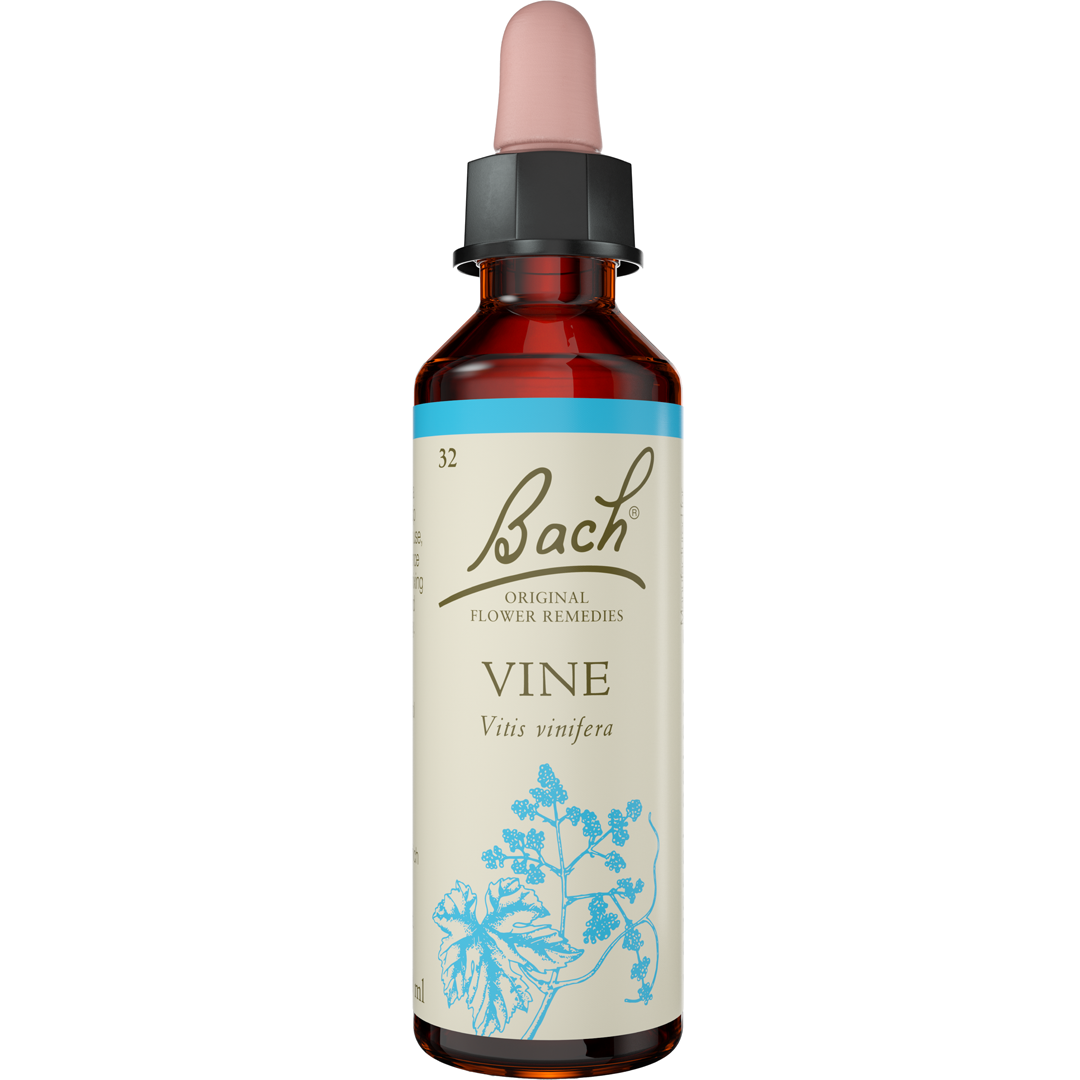 Bach Flower Remedies Vine
