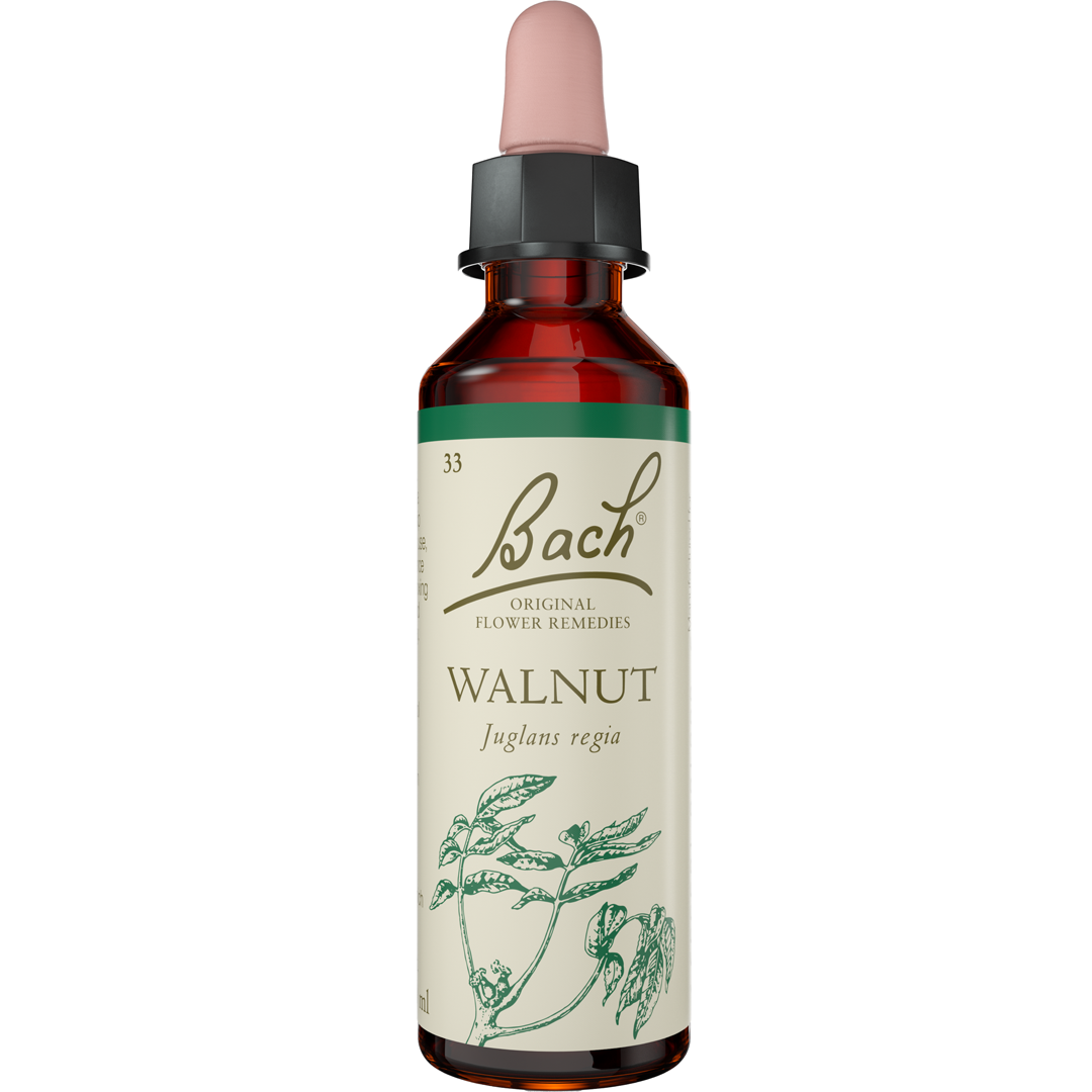 Bach Flower Remedies Walnut