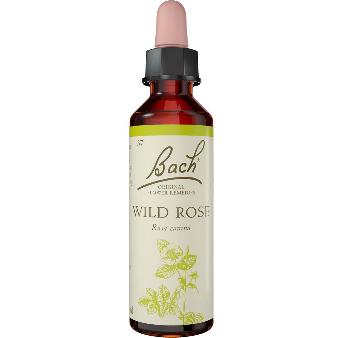 Bach Flower Remedies Wild Rose