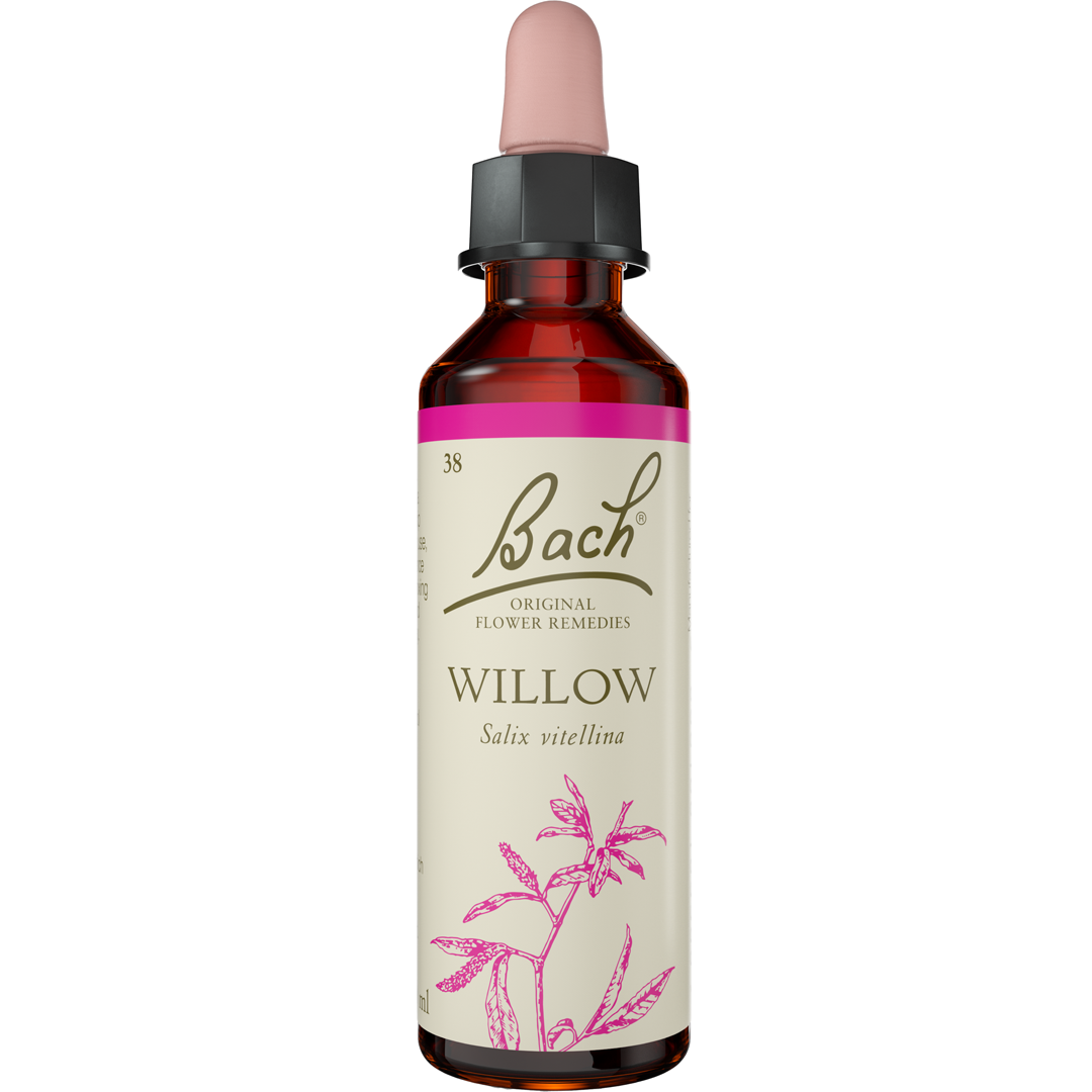 Bach Flower Remedies Willow