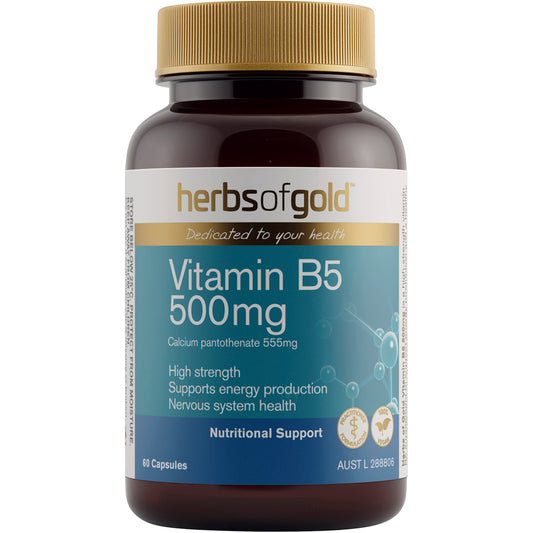 Herbs of Gold Vitamin B5 500mg