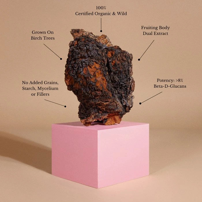 Teelixir Chaga Mushroom