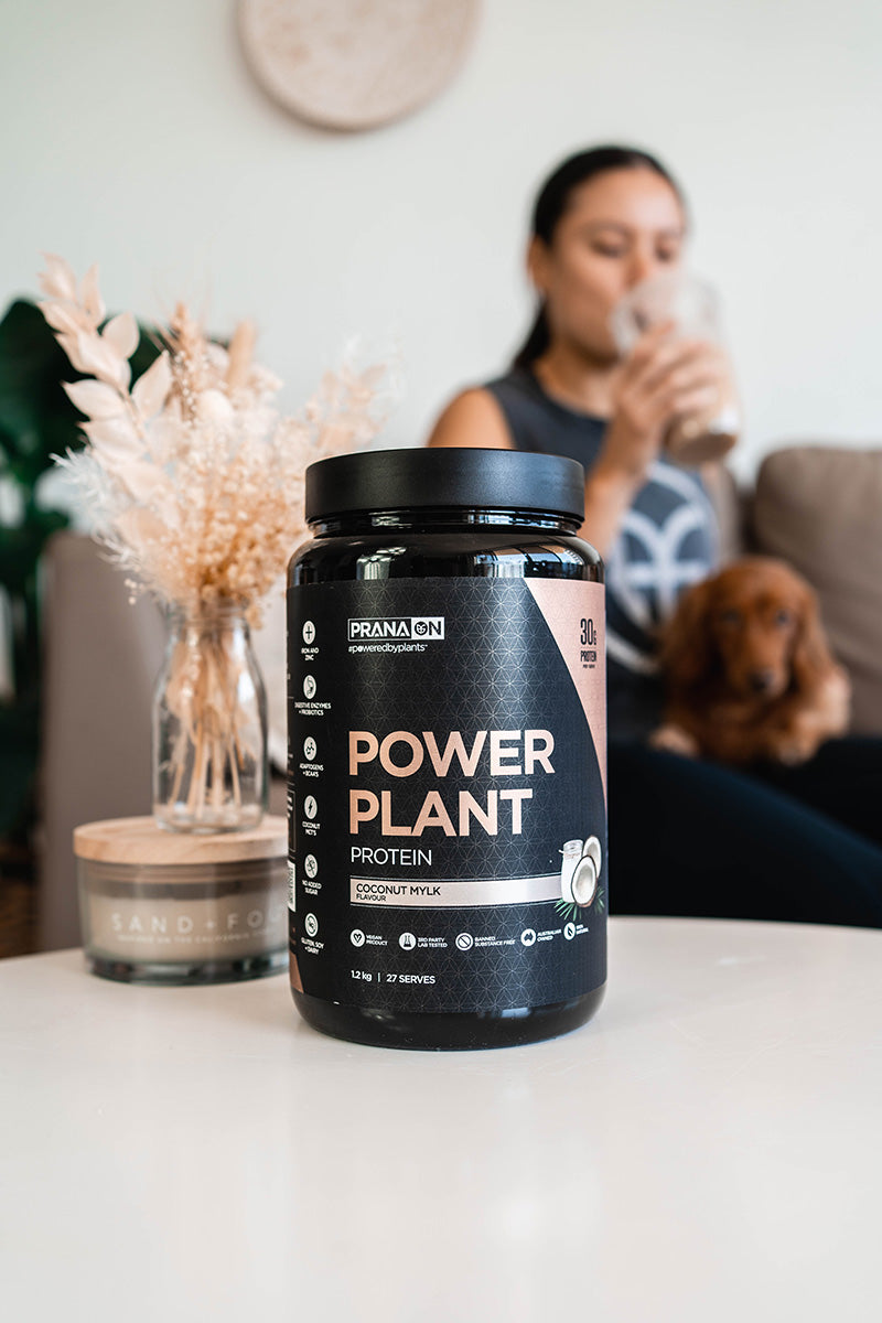 PranaON Power Plant Protein