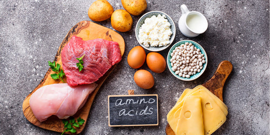 The Importance of Amino Acids for Optimal Health: A Comprehensive Guide