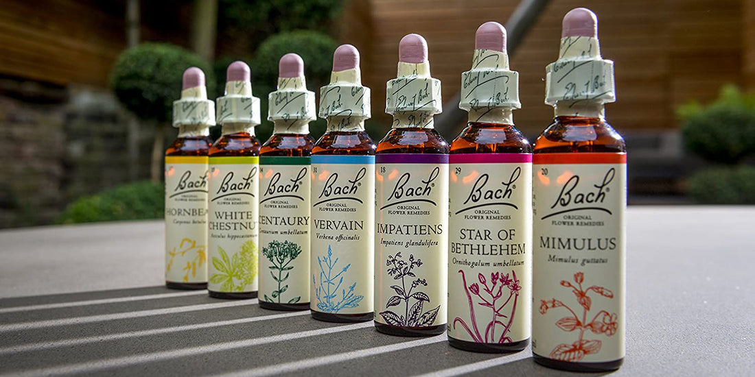 Uncovering the Wonders of Bach Flower Remedies: History, Uses and Popular Remedies