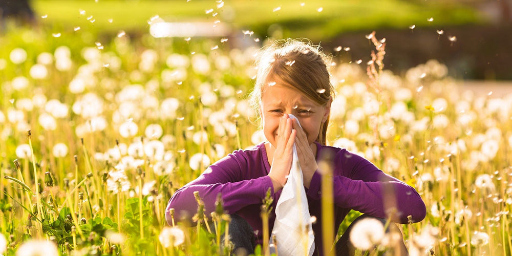 Top Tips To Ease Hayfever This Spring