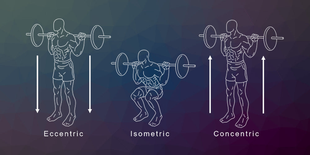Improve Your Strength Training: Understanding Eccentric, Concentric and Isometric Movements