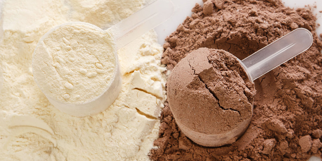 Understanding the Different Forms of Whey Protein Powder