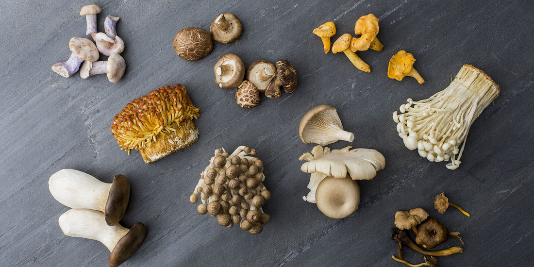 Mushroom Supplements: An Overview of the 7 Most Popular Types