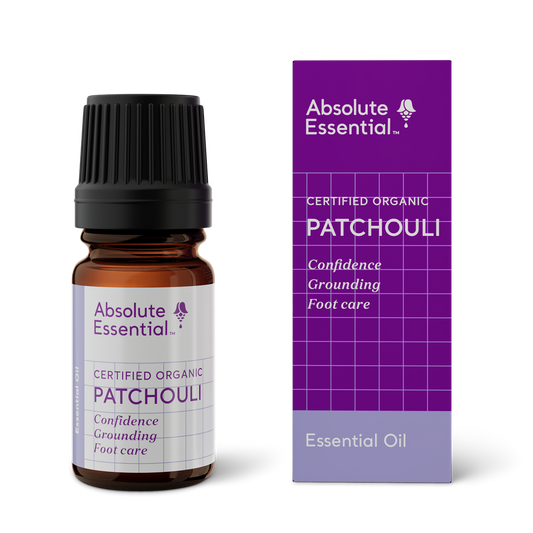 Absolute Essential Patchouli Essential Oil