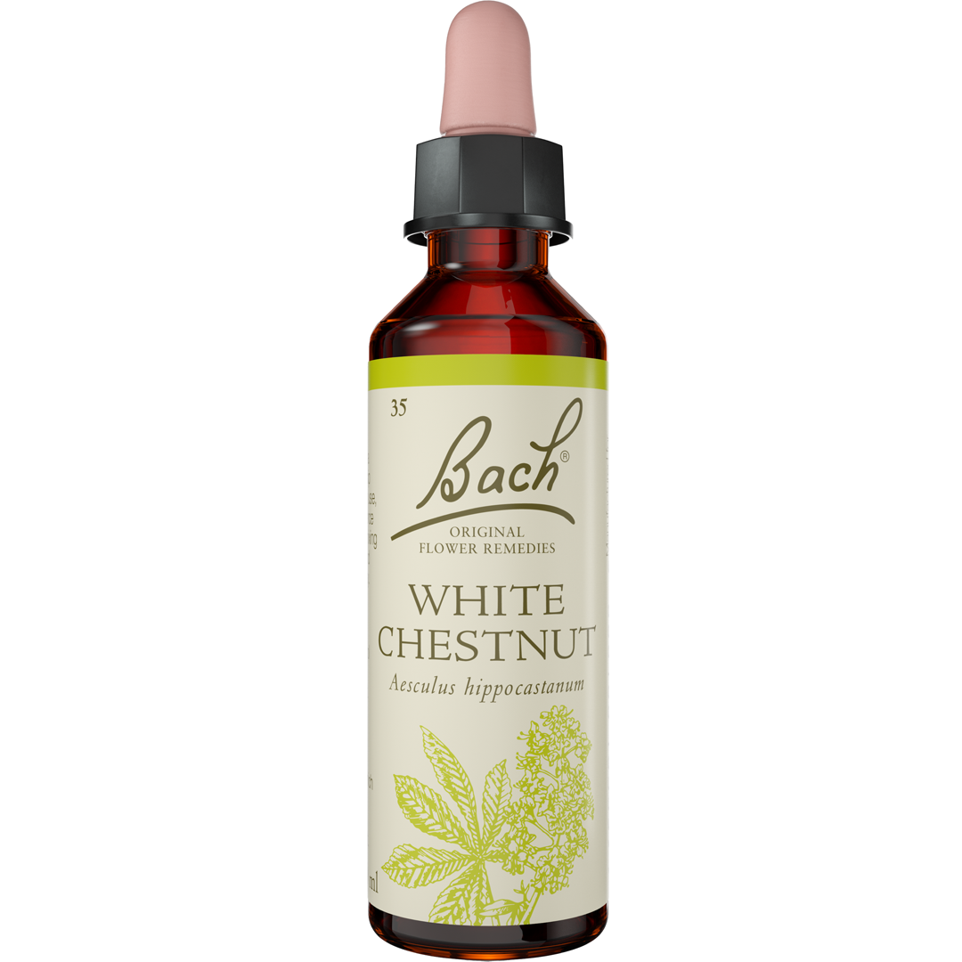 Bach Flower Remedies White Chestnut