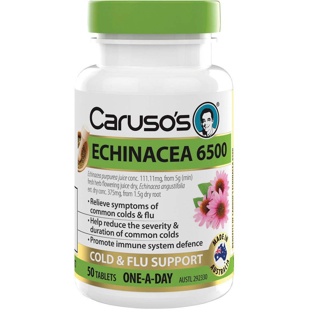 Caruso's Echinacea 6500