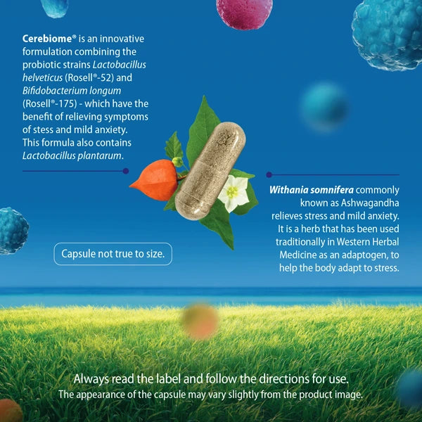 Carusos Anxiety Eze Probiotic