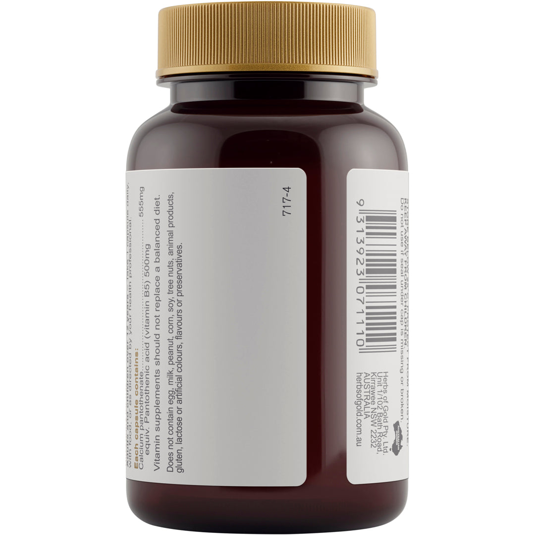 Herbs of Gold Vitamin B5 500mg