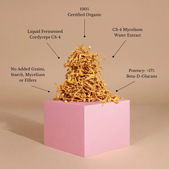 Teelixir Cordyceps Mushroom