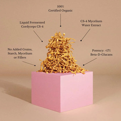 Teelixir Cordyceps Mushroom