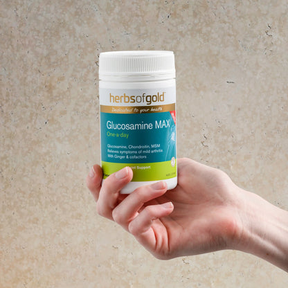 Herbs of Gold Glucosamine MAX