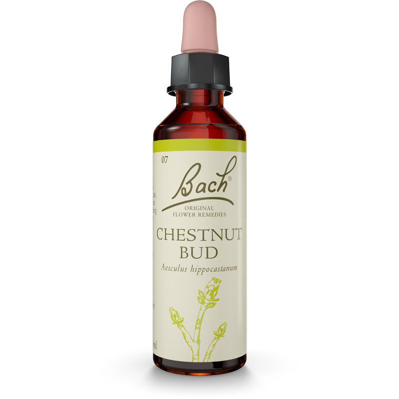 Bach Flower Remedies Chestnut Bud