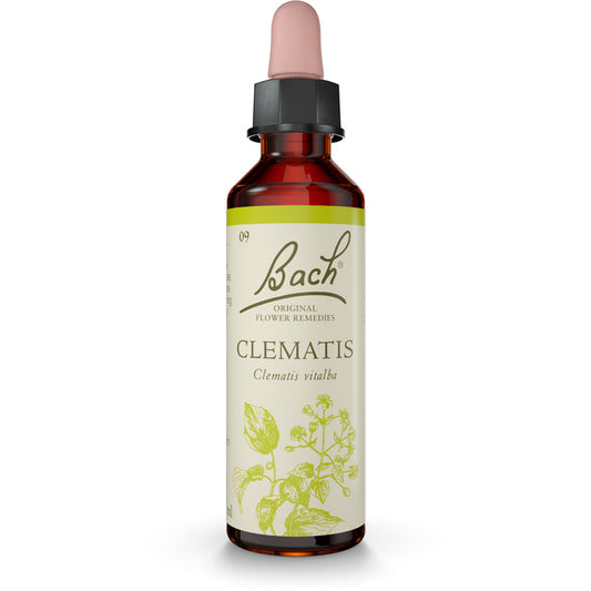 Bach Flower Remedies Clematis