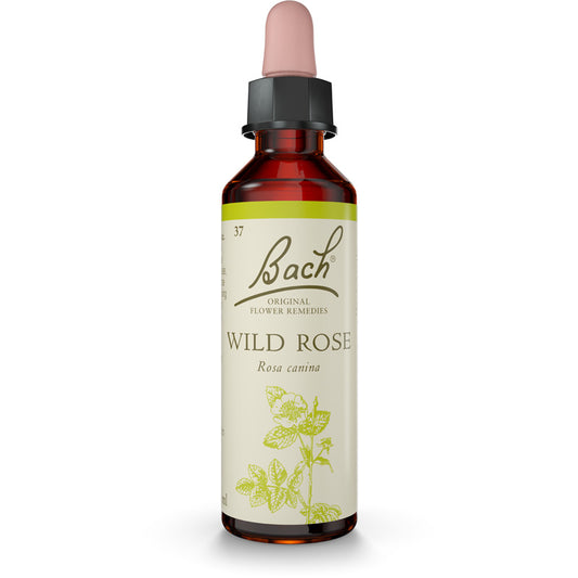 Bach Flower Remedies Wild Rose