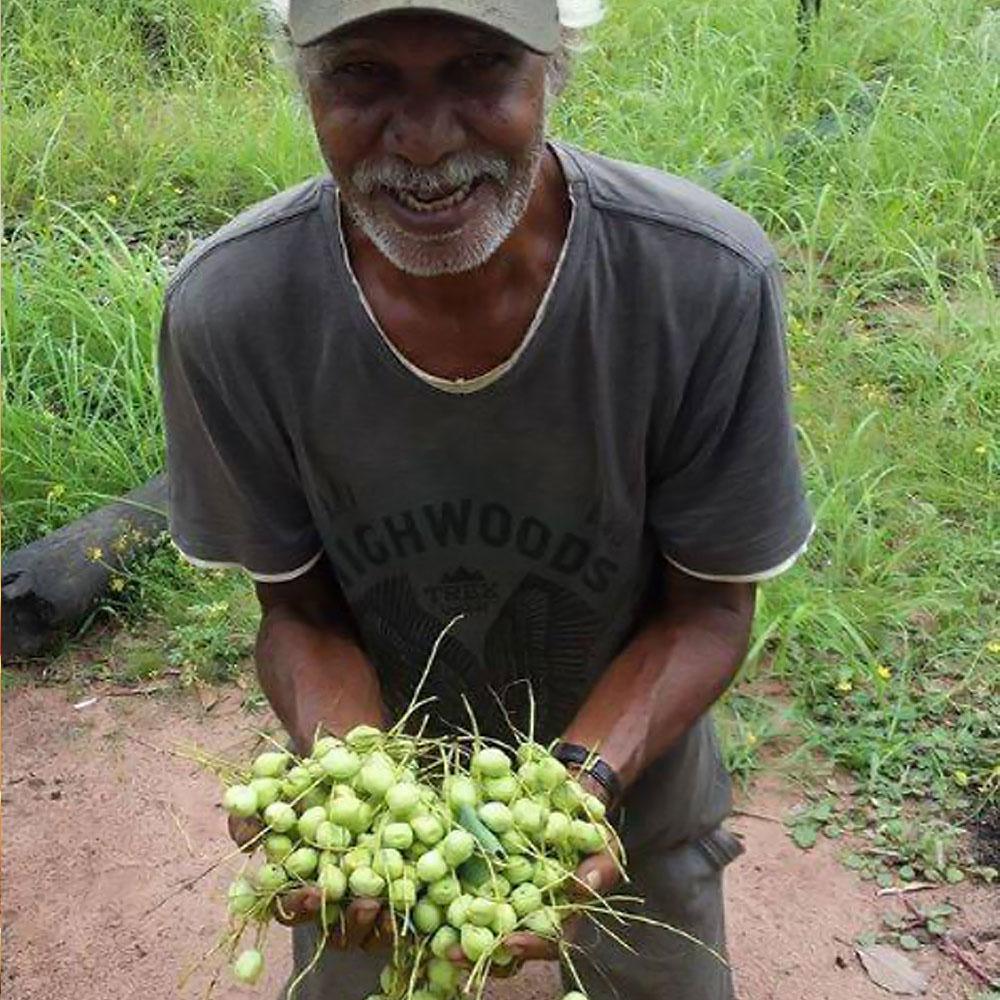 Roogenic Native Bushfood 100% Wild Harvested Kakadu Plum