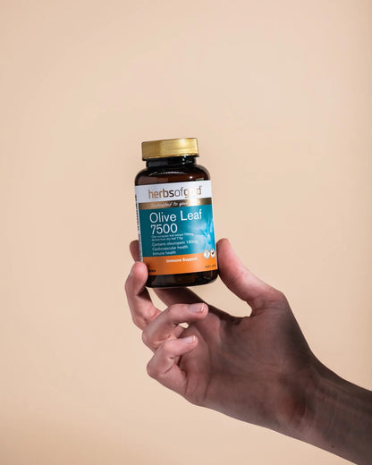 Herbs of Gold Olive Leaf 7500