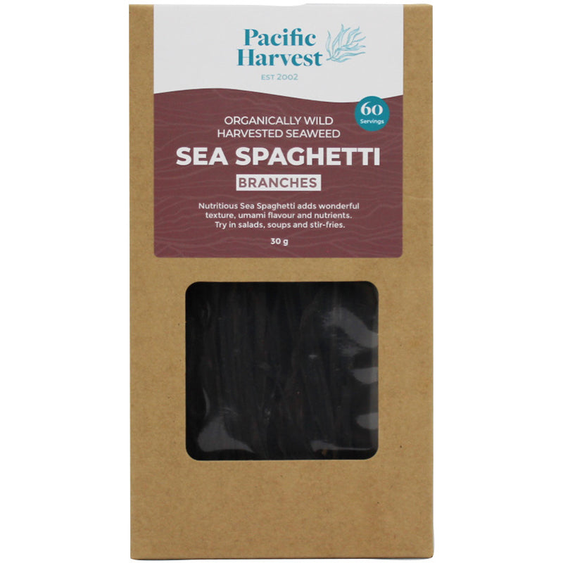 Pacific Harvest Sea Spaghetti Seaweed Branches