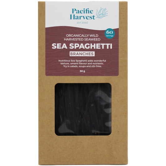 Pacific Harvest Sea Spaghetti Seaweed Branches